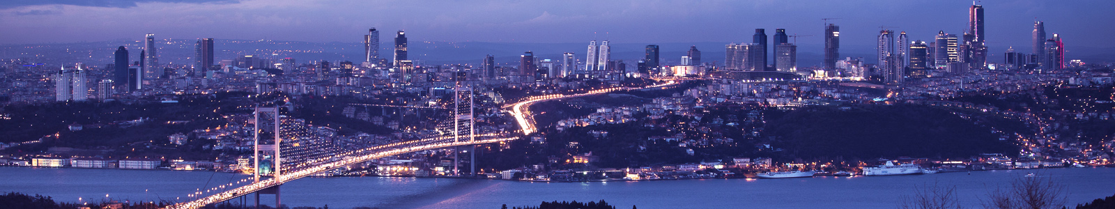 Lightning Conductor Mast Clamp 