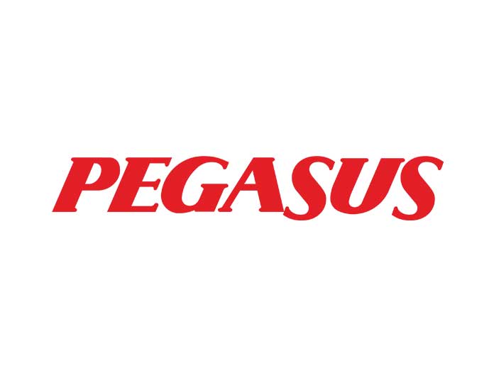 Pegasus Ofis Binası